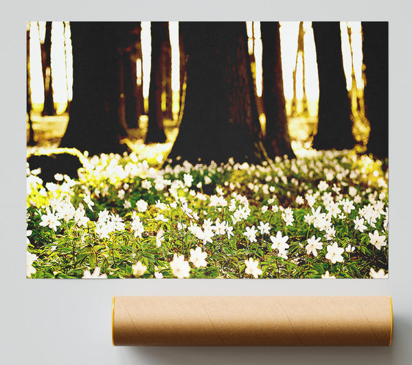 White Forest Flowers Print