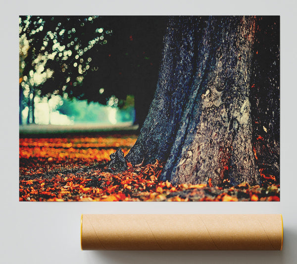 Tree Trunk In Autumn Giclee Print
