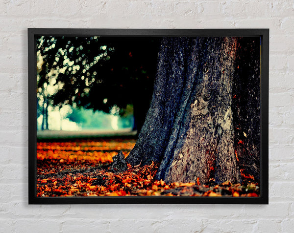 Tree Trunk In Autumn Framed Print
