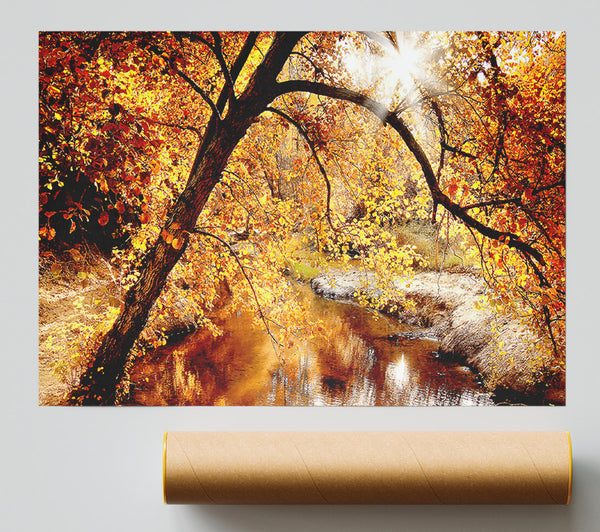 Creek In The Autumn Forest Print