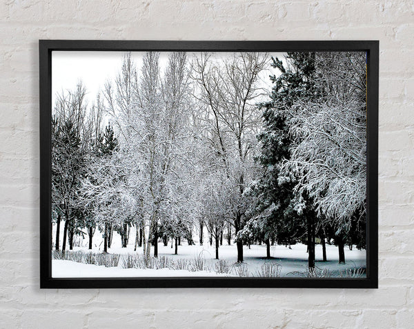 Winter In The Snow Forest Framed Print