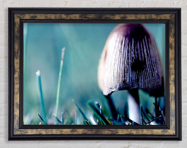 Wild Mushroom Framed Print