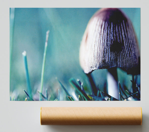 Wild Mushroom Print