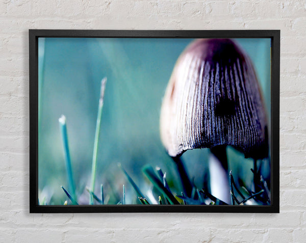 Wild Mushroom Framed Print