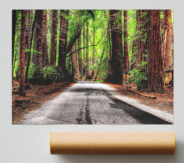 Green Forest Road Giclee Print
