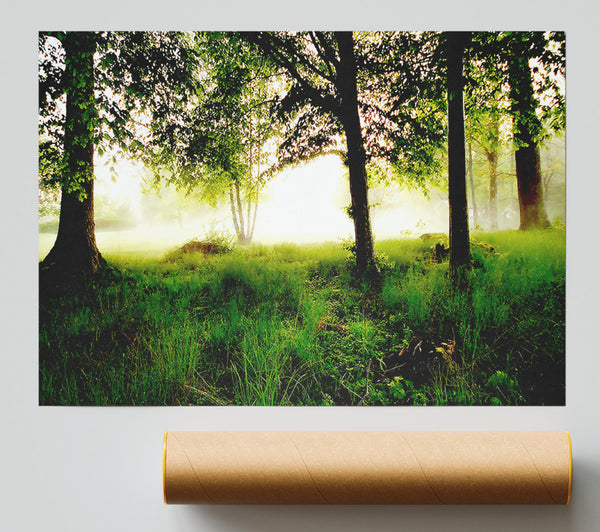 Morning Fog Giclee Print