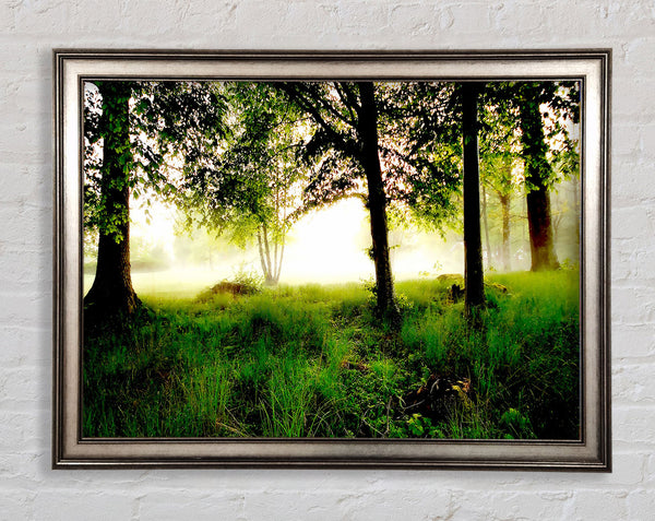 Morning Fog Framed Print
