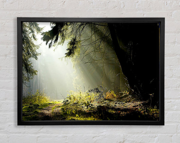 Sun Beam Through The Pass Framed Print