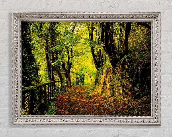 Forest Walking Path Framed Print