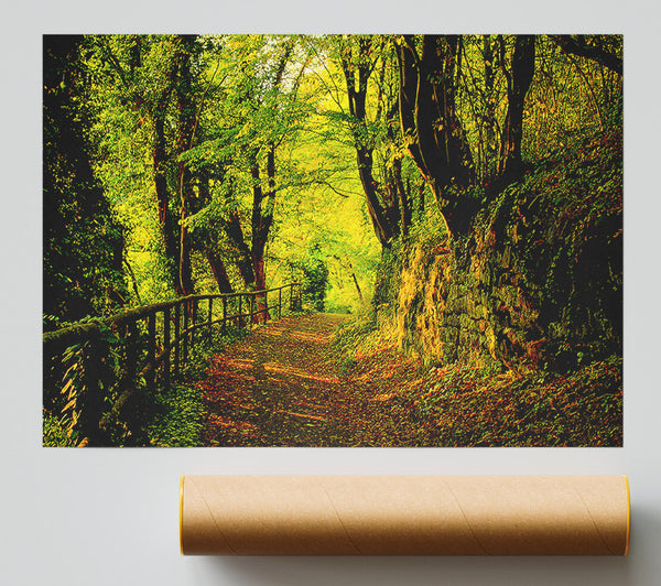 Forest Walking Path Giclee Print