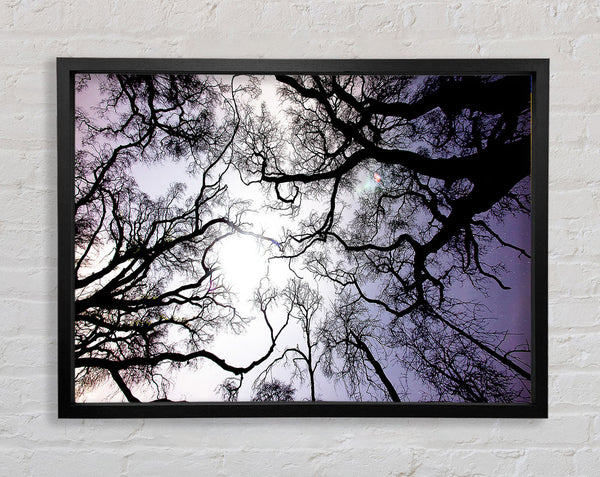Reaching Arms Framed Print