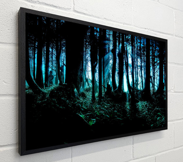 Mysterious Forest
