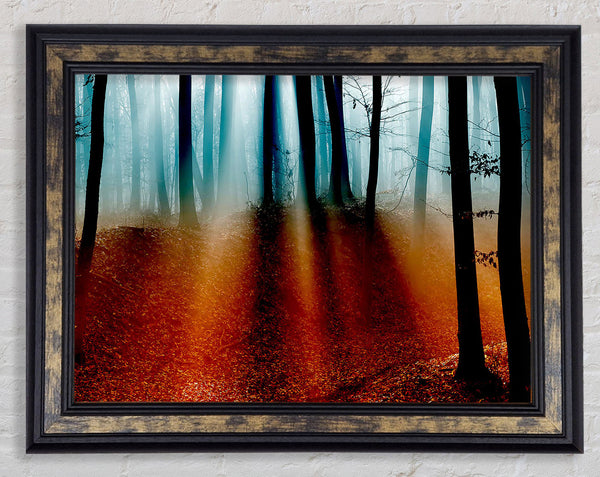 Autumn Forest Blue Sun Beams Framed Print