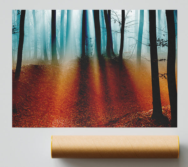 Autumn Forest Blue Sun Beams Giclee Print