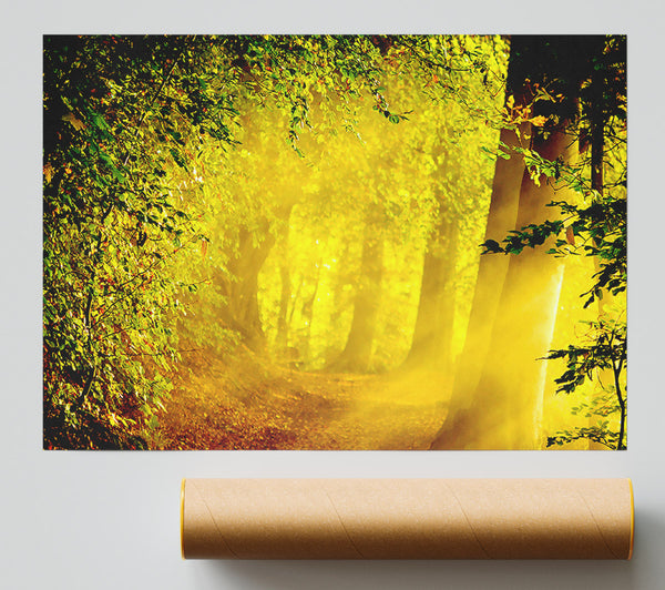 Enchanted Forest Print