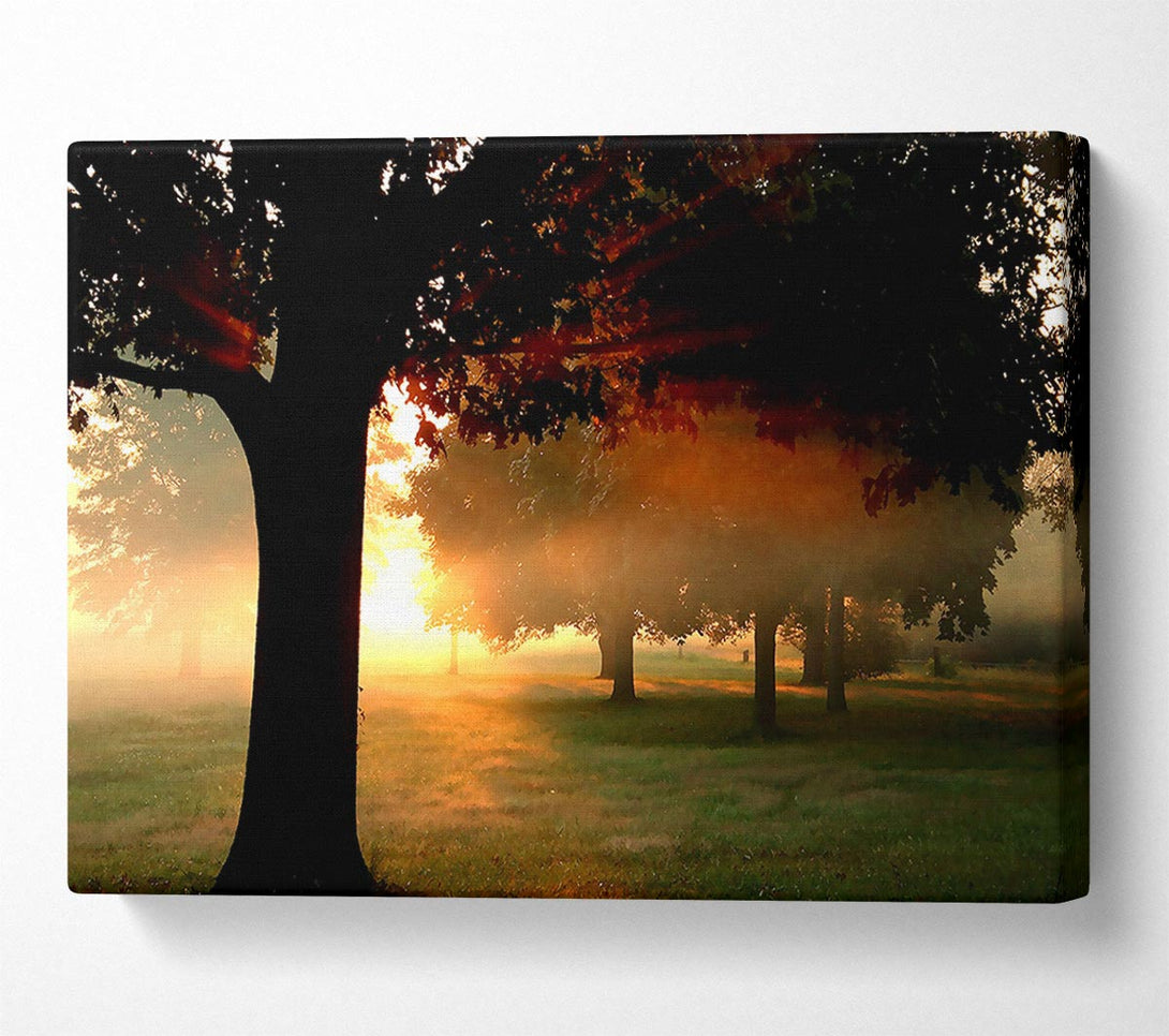  A Canvas Print of A New Day Canvas Wall Art