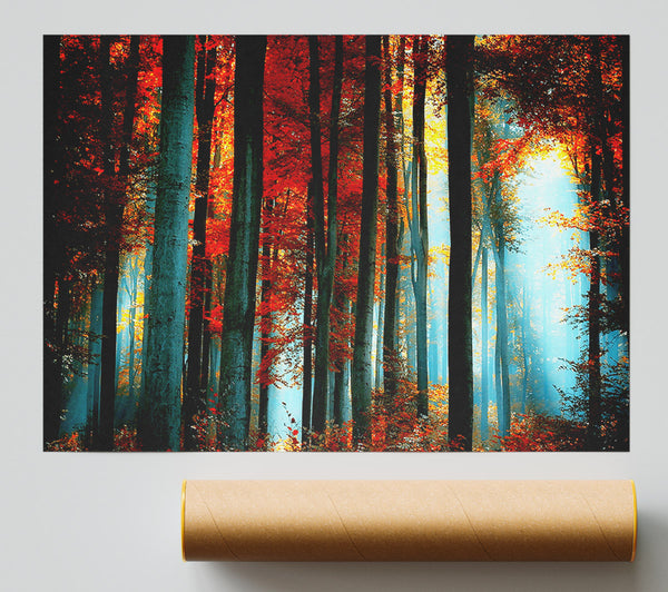 Blue Light Through The Orange Woodland Print
