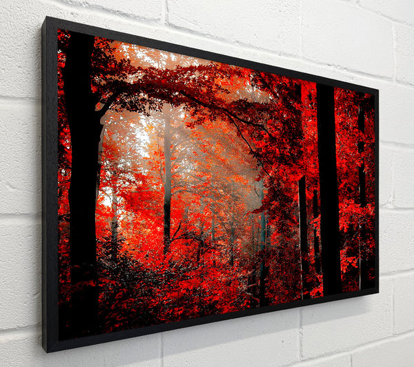 Red Forest Delight