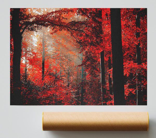Red Forest Delight Poster