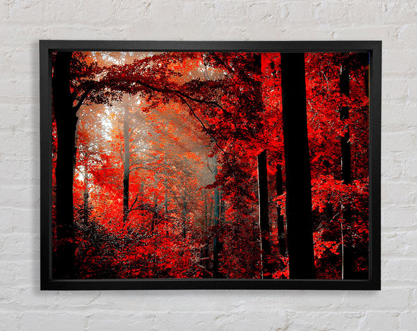 Red Forest Delight Framed Print