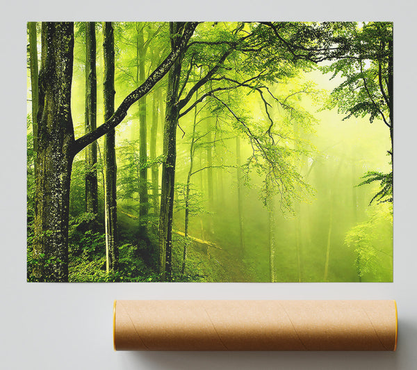 Beautiful Green Forest Print