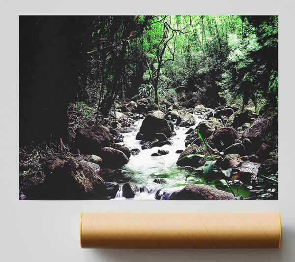 Rainforest Creek Giclee Print