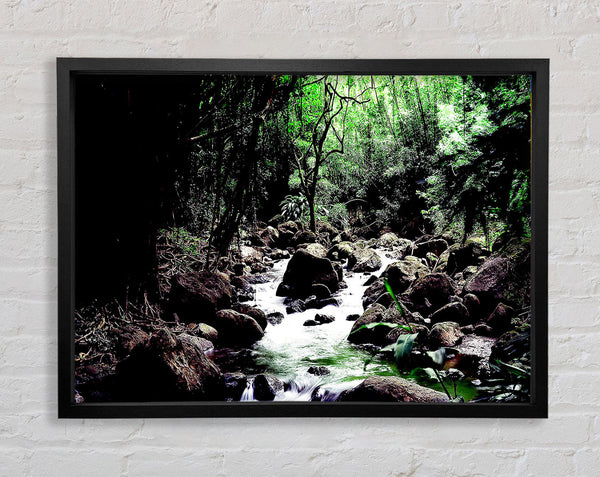 Rainforest Creek Framed Print