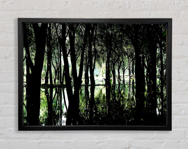 Swamp Forest Framed Print