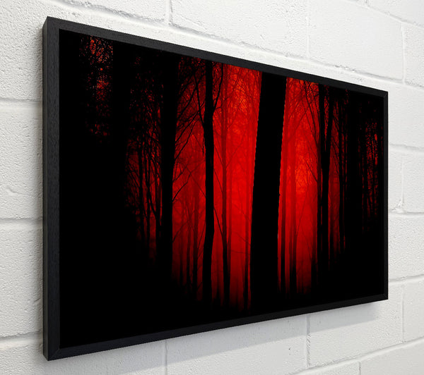 Blood Red Forest