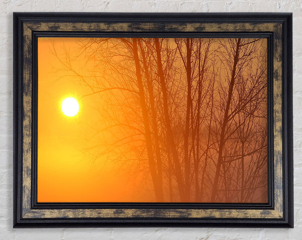 Yellow Sky Framed Print