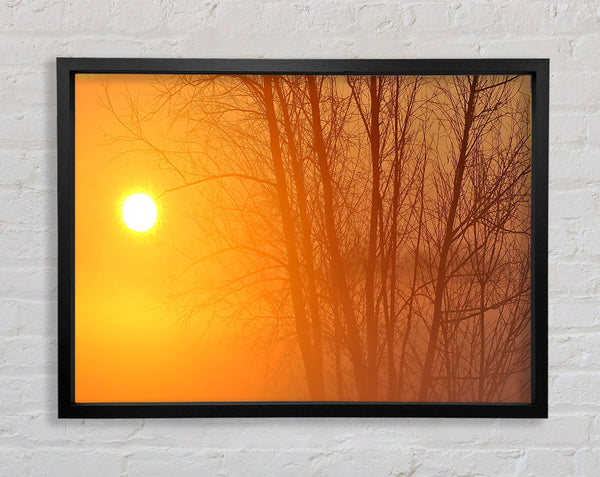 Yellow Sky Framed Print