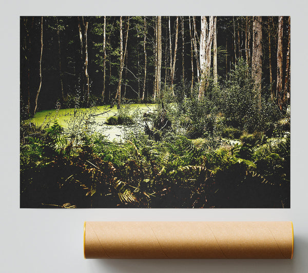 Swamp In The Depth Of The Forest Giclee Print