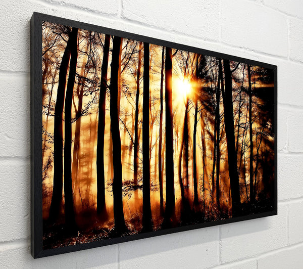 Steaming Light Rays