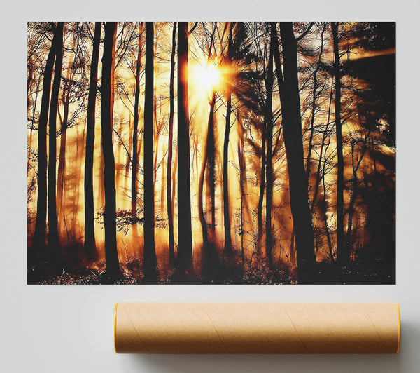 Steaming Light Rays Print