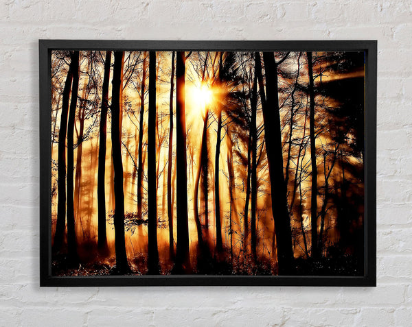 Steaming Light Rays Framed Print