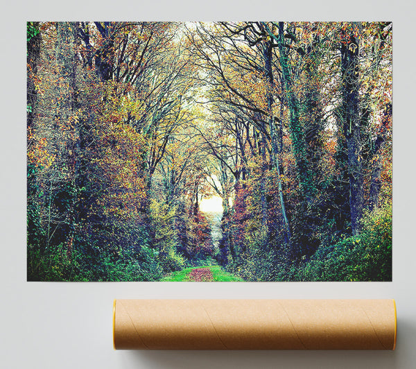Just Trees Print