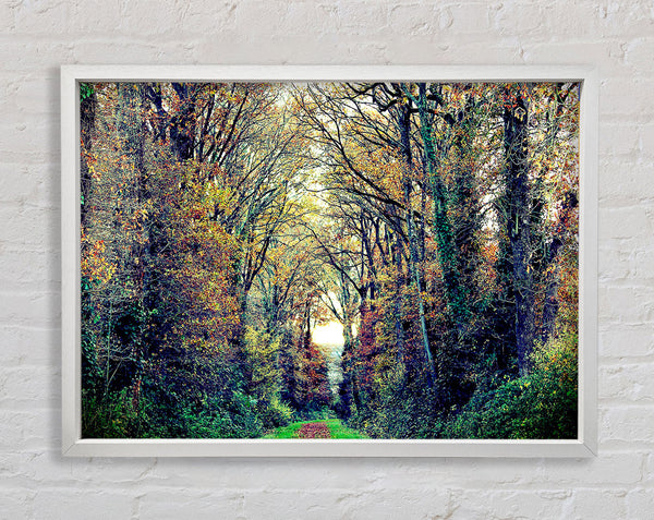 Just Trees Framed Print