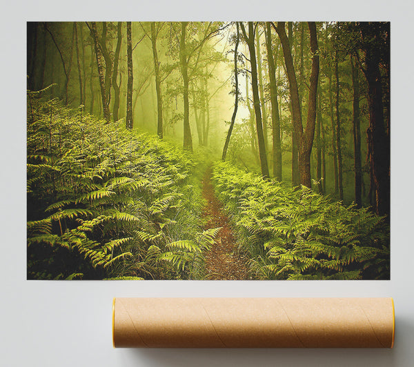 Green Forest Path Poster