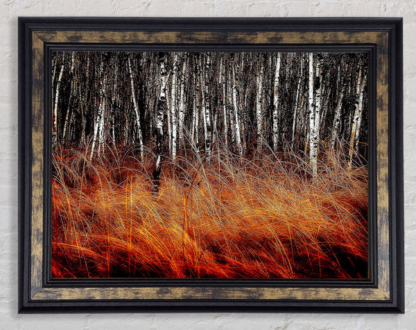 Just Before The Forest Framed Print