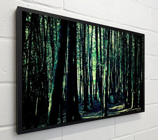 Emerald Green Woodland