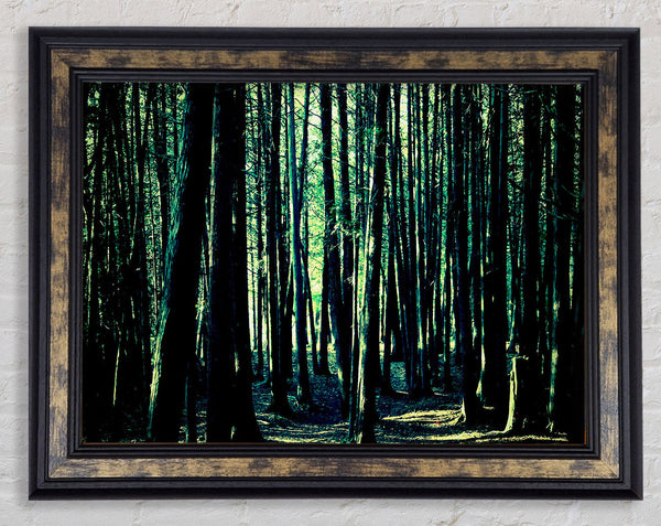 Emerald Green Woodland Framed Print