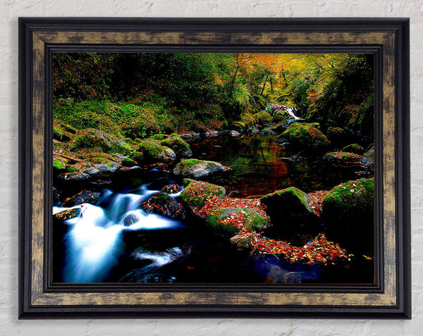 Autumn Forest River Framed Print
