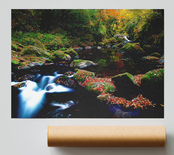 Autumn Forest River Print