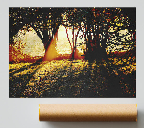 Golden Sunlight Print