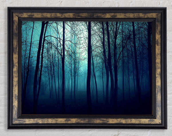 Dark Forest Framed Print