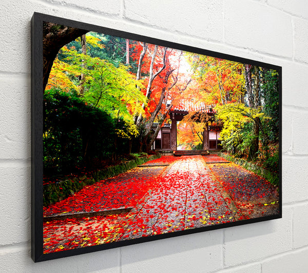 Autumn In Japan