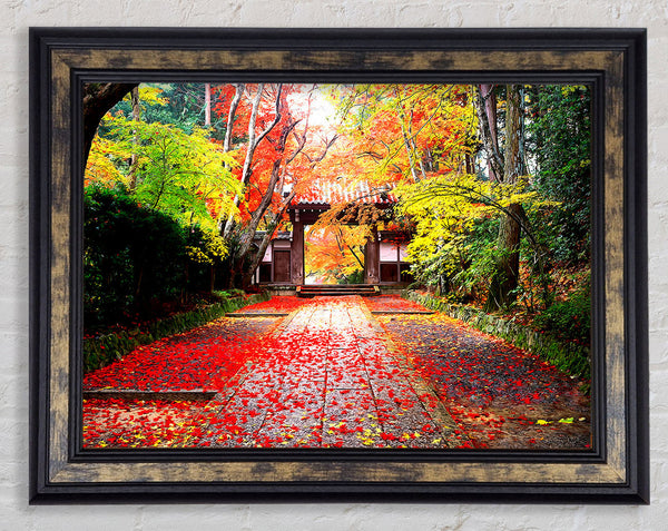 Autumn In Japan Framed Print