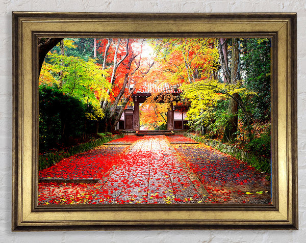 Autumn In Japan Framed Print