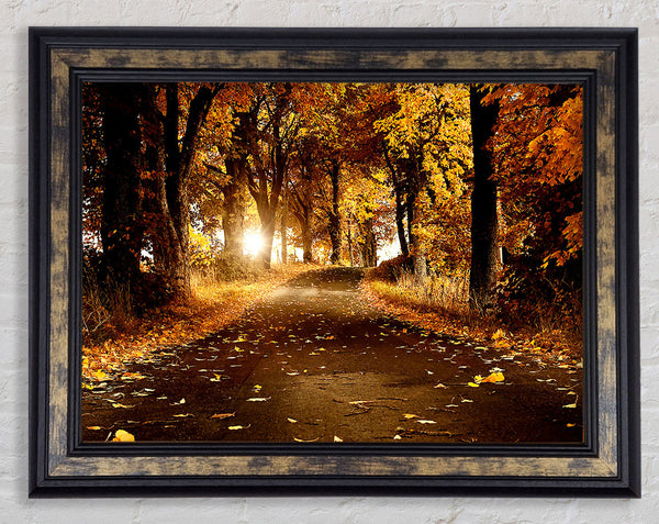 Autumn Breeze Framed Print