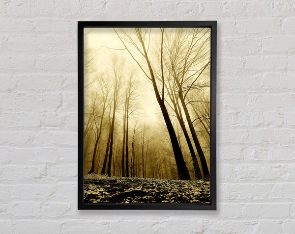 In The Depth Of The Forest Framed Print